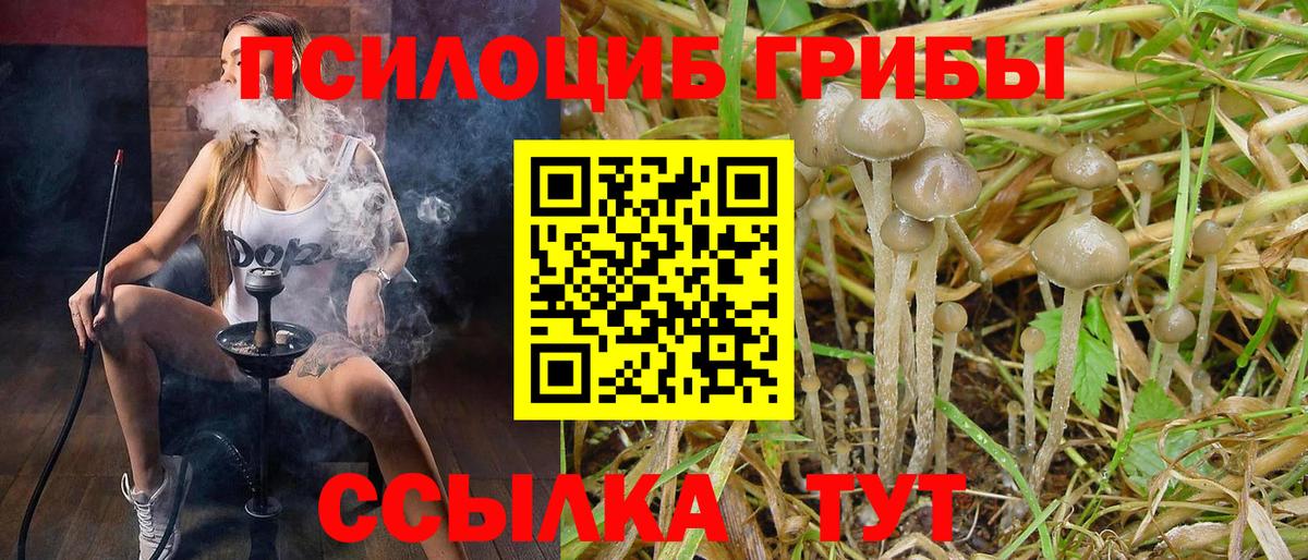 Галлюциногенные грибы MAGIC MUSHROOMS Кемерово